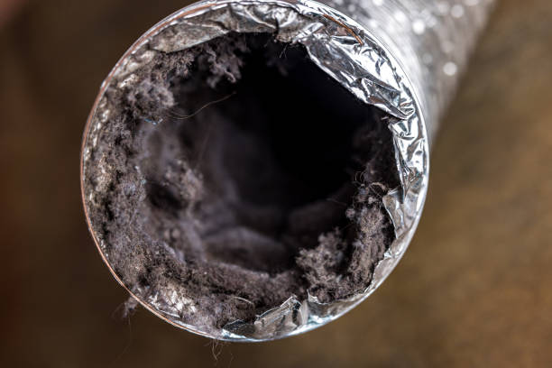 Best Best Air Duct Cleaning Company  in Minnetonka, MN